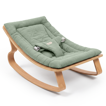 Baby Rocker for Ages 0-24 Months in Fern