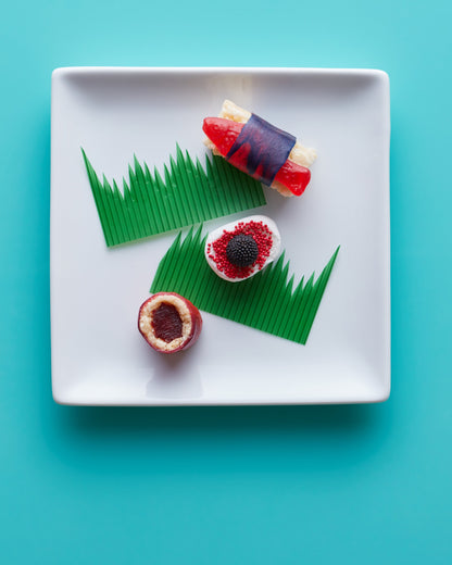 Candy Sushi Craft Kit
